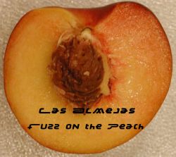 Fuzz on the Peach album cover