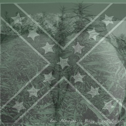 Hazy Green Nation album cover