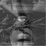 A Ritual Away From Immortality album cover